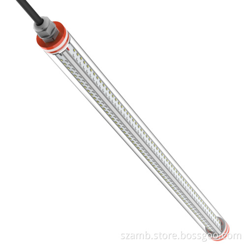 T12 Poultry Lighting